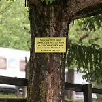 Alta Ribagorca *